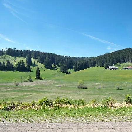 Apartment Otto Booz Schluchsee